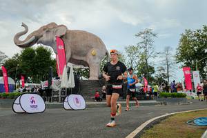 BIB: 
                            <button type="button" onclick="openModal(26528831)" class="btn btn-primary btn-sm float-right btn-popup" data-toggle="modal" data-target=".modal-high-quality">
                        <i class="fas fa-shopping-cart"></i> Add to Cart
                    </button>
                                            <button type="button" onclick="isThisMe(26528831, true)" class="btn btn-success btn-sm float-right btn-popup btn-isme hidden" data-toggle="tooltip" data-placement="bottom" title="นี่คือรูปของคุณใช่ไหม คลิกที่นี่เพื่อเอาเข้าอัลบั้ม">
                        <i class="fas fa-plus"></i> Add to album
                    </button>
                    <button type="button" onclick="isThisMe(26528831, false)" class="btn btn-warning btn-sm float-right btn-popup btn-isnotme hidden">
                        <i class="fas fa-ban"></i> Remove from album
                    </button>